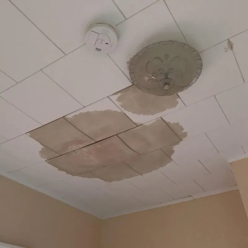Ceiling Water Damage Repair in Delavan Lake, WI