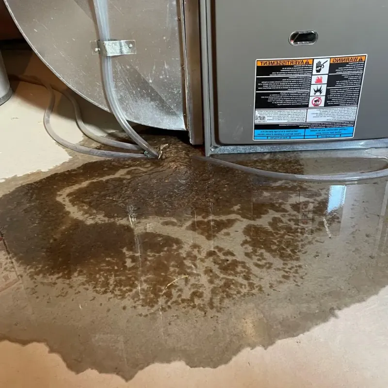 Pipe Burst and Leak Restoration in Delavan Lake, WI